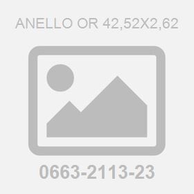 Anello Or 42,52X2,62